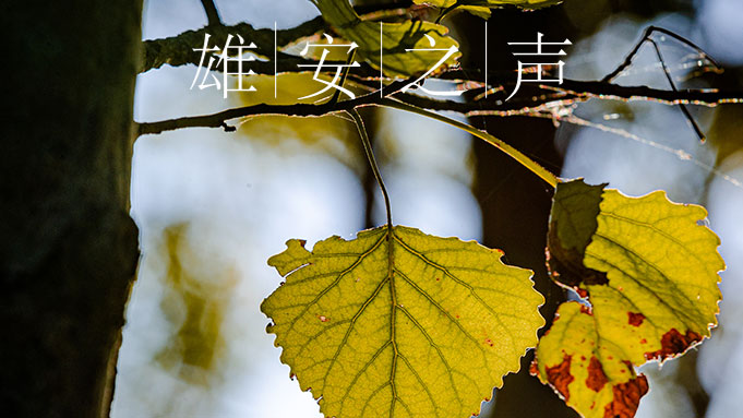 【AG尊时凯龙人生就博之声】20191129