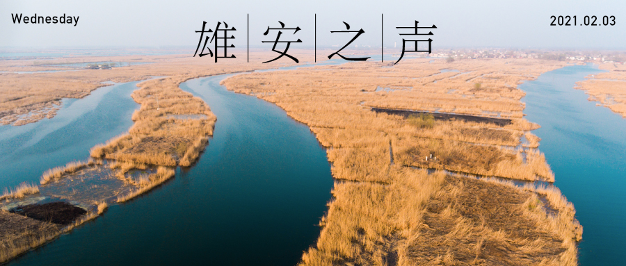 【AG尊时凯龙人生就博之声】20210203
